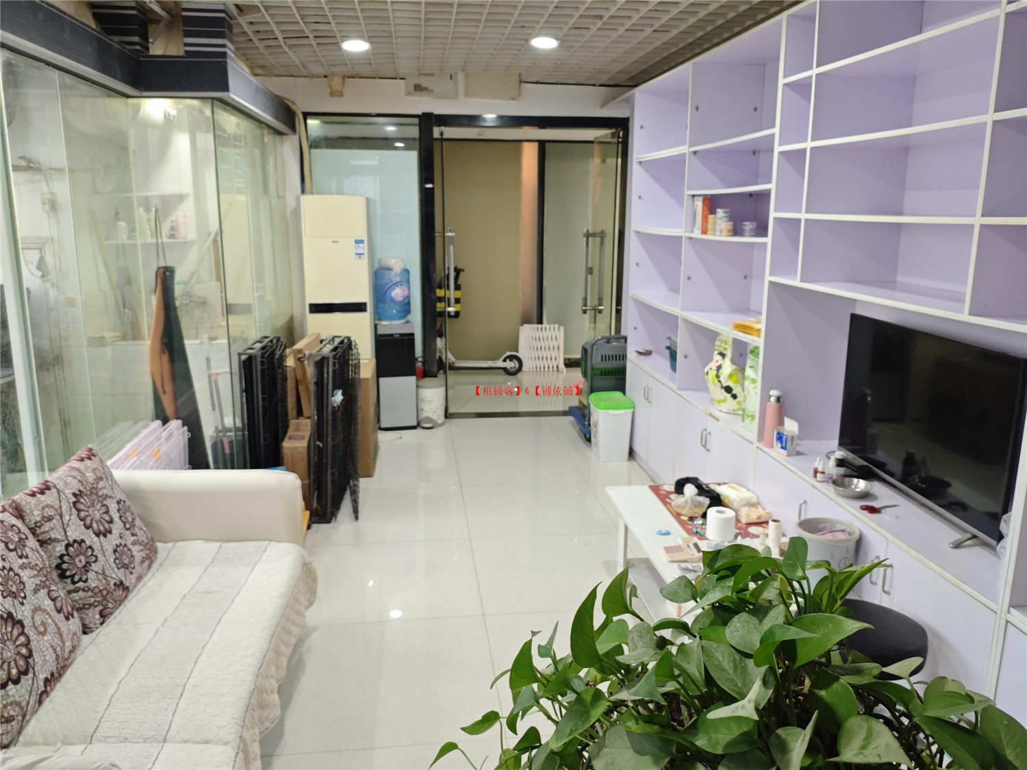 花果园国际商务5号楼，宠物店房东直租